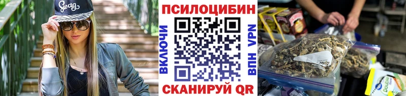Псилоцибиновые грибы Psilocybe  Венёв 